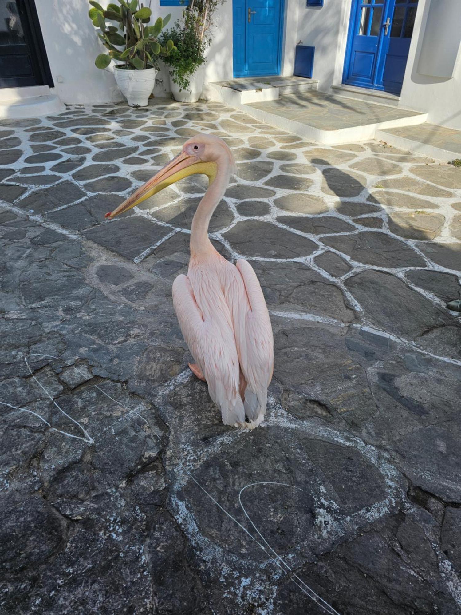Classy Classic Mykonos Town Bagian luar foto